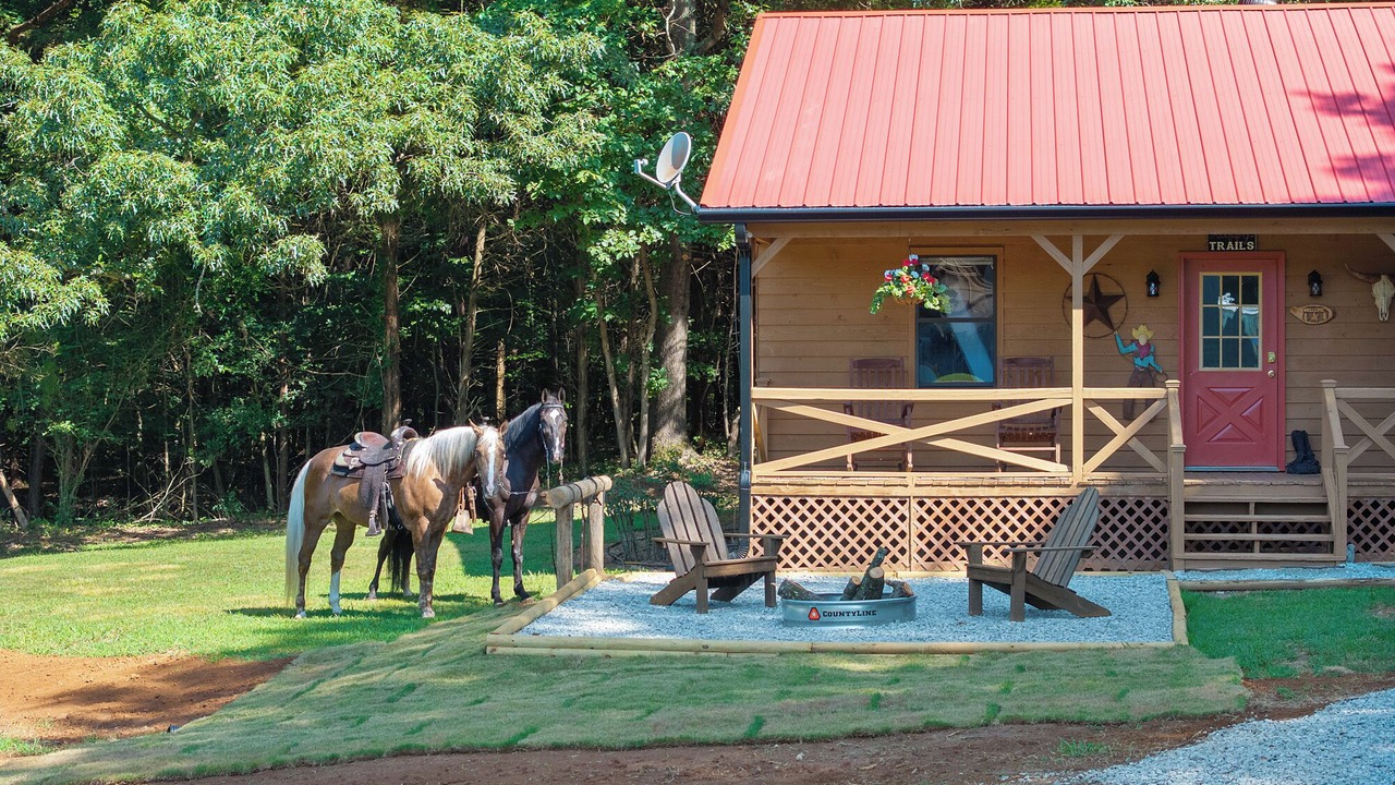 Photo of Outdoor in Idlewild