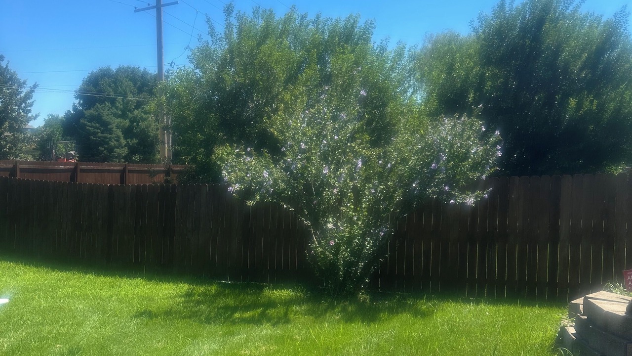 Photo of Outdoor in Waldron