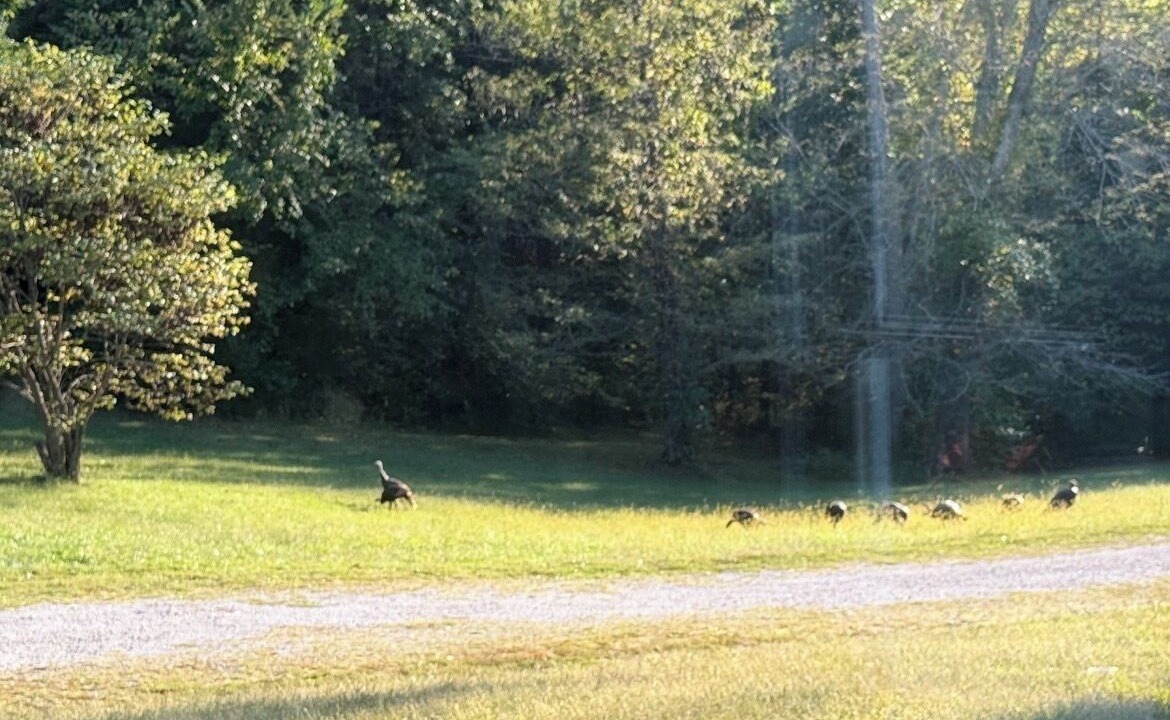 Photo of Others in Platte City