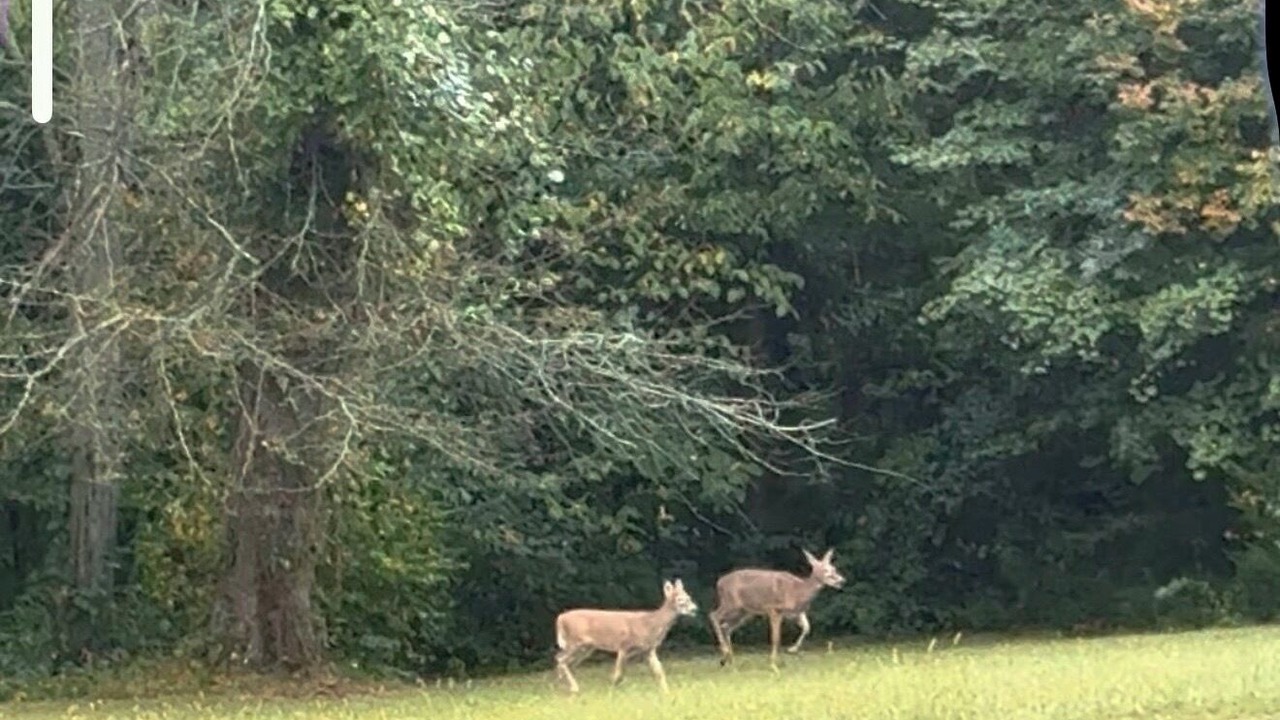 Photo of Others in Platte City