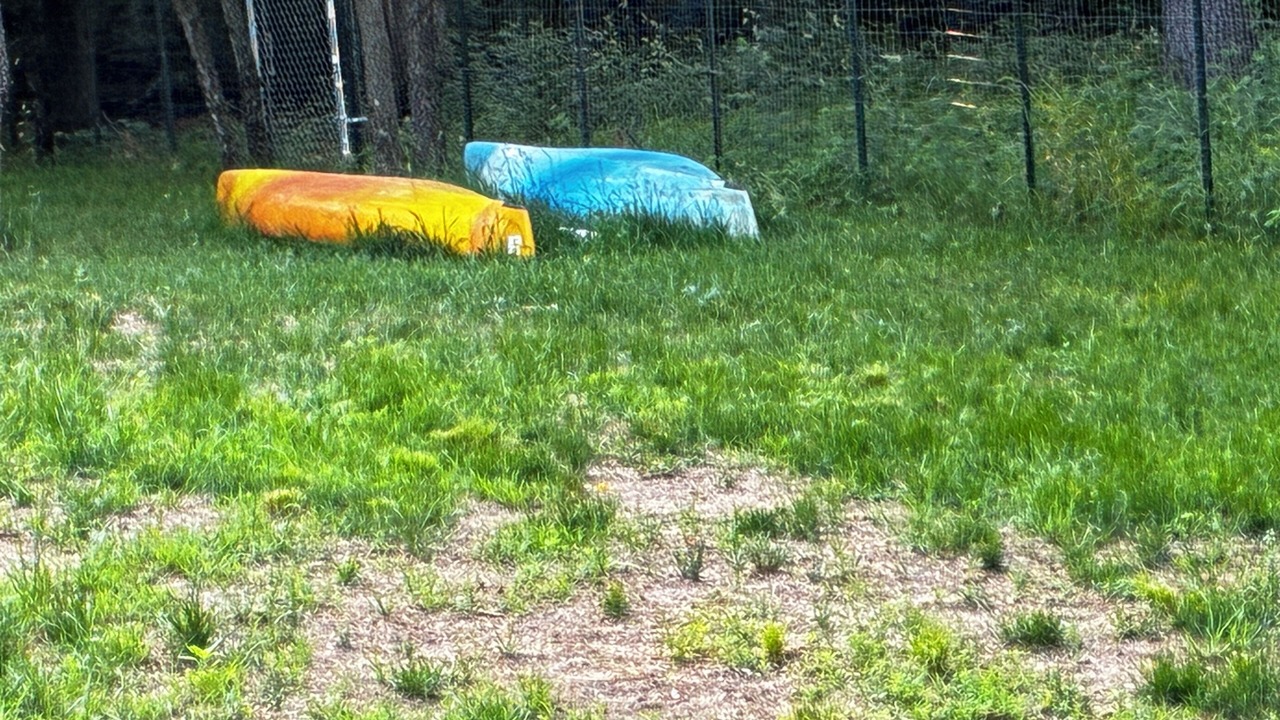 Photo of Others in Babcock