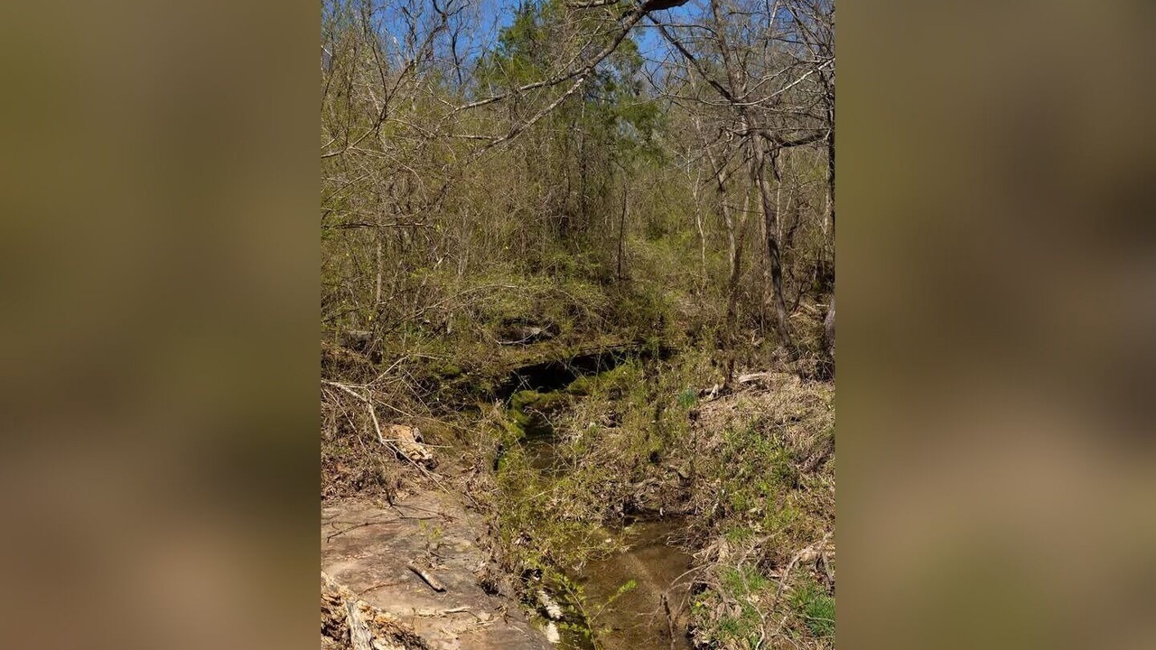 Photo of Others in Calico Rock