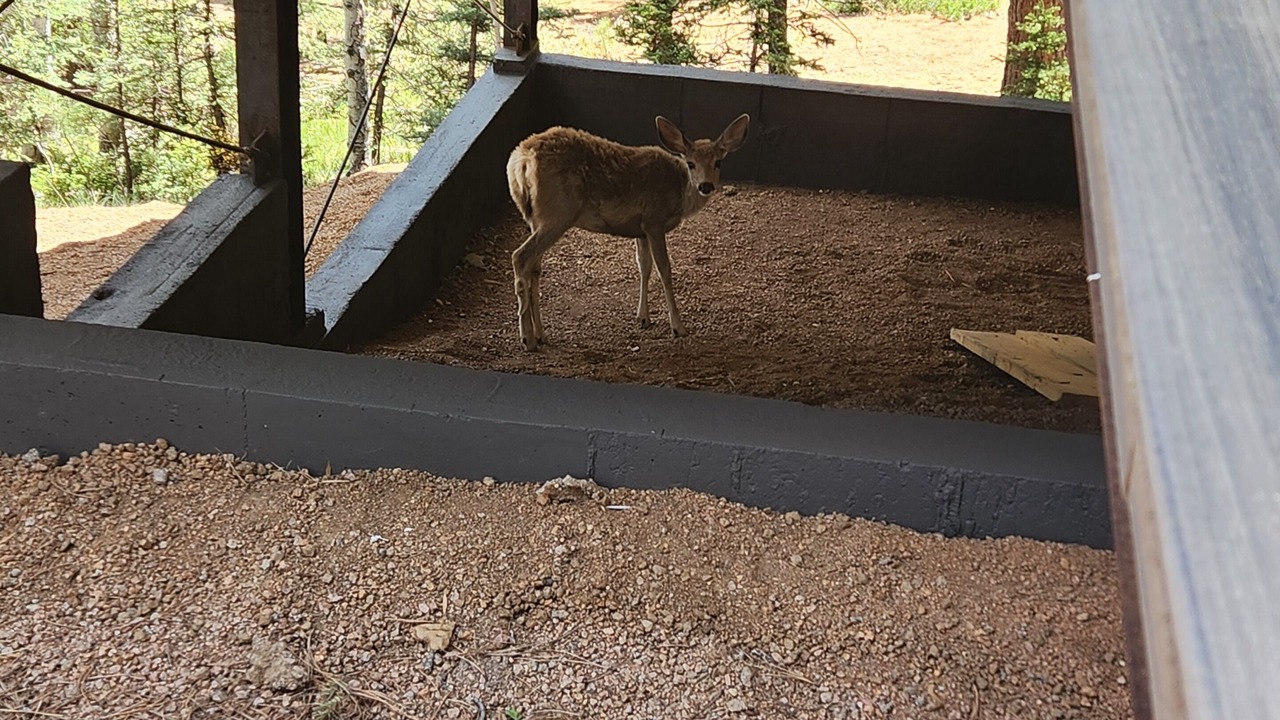 Photo of Outdoor in Spring Valley