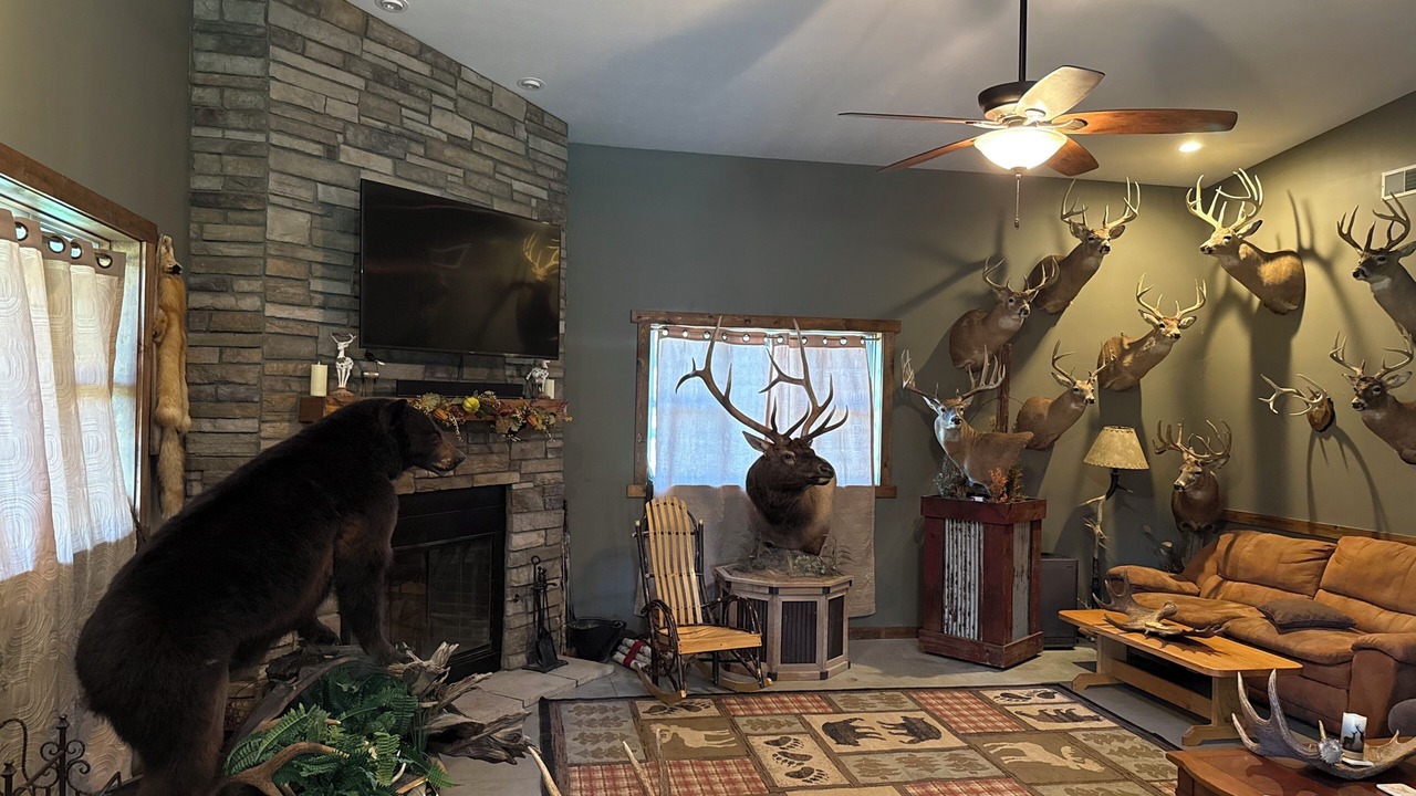 Photo of Livingroom in Chandlerville