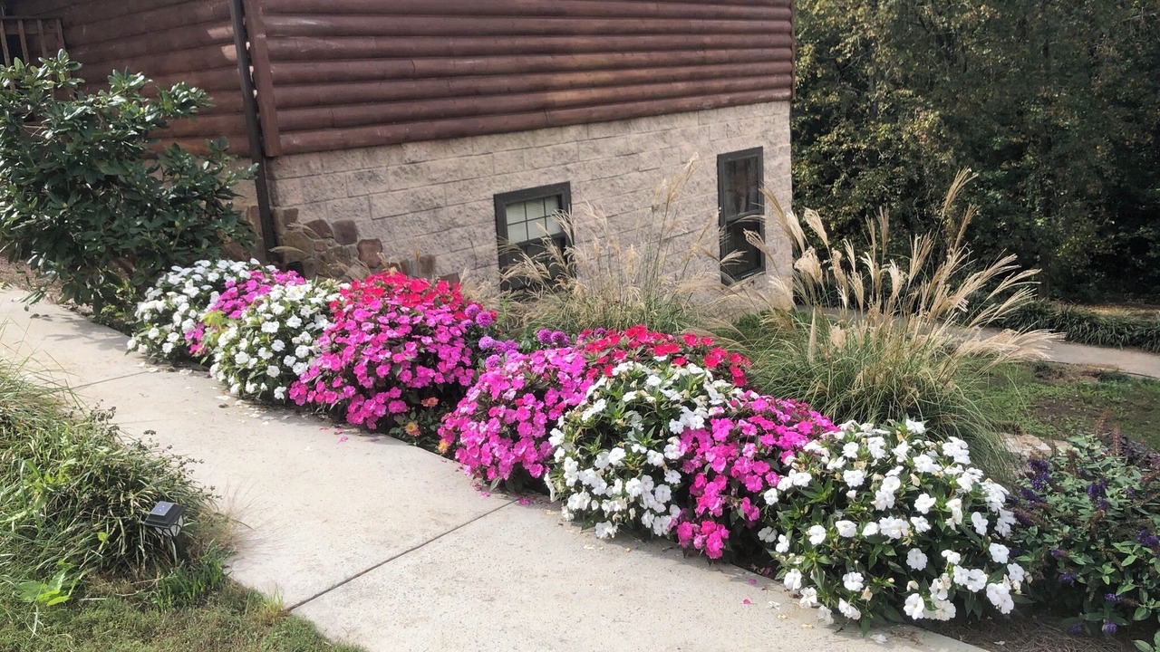 Photo of Outdoor in Ten Mile