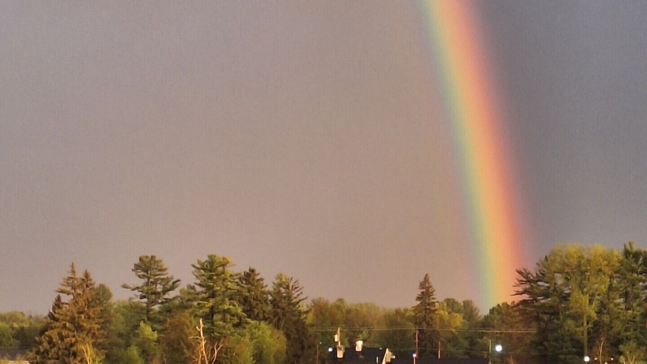 Photo of Others in King
