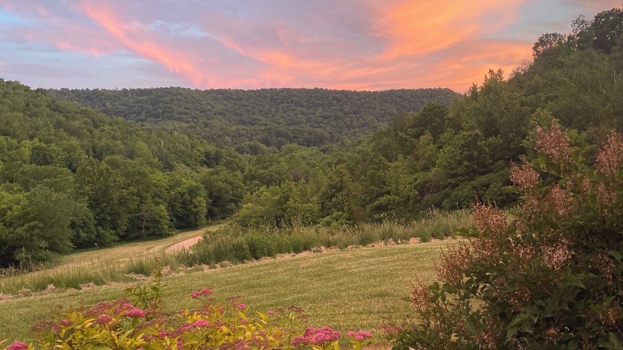 Photo of Outdoor in West Salem