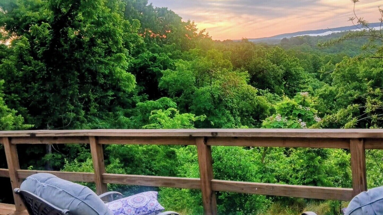 Photo of Outdoor in Harriet