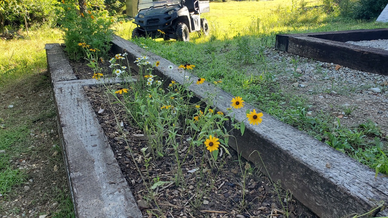 Photo of Outdoor in Pittsburg
