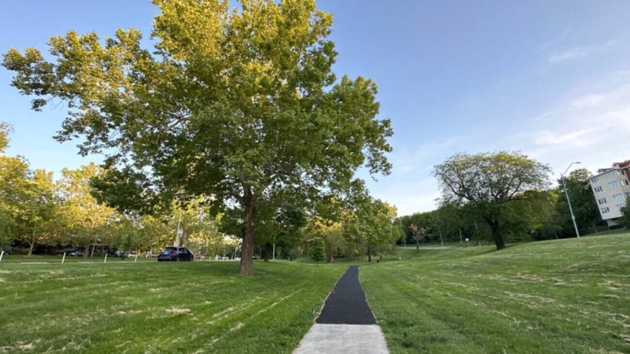 Photo of Others in South Hyde Park