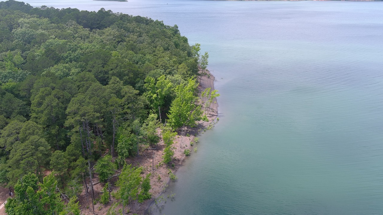 Photo of Outdoor in Bee Branch