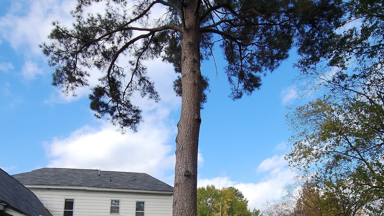 Photo of Outdoor in Arkadelphia