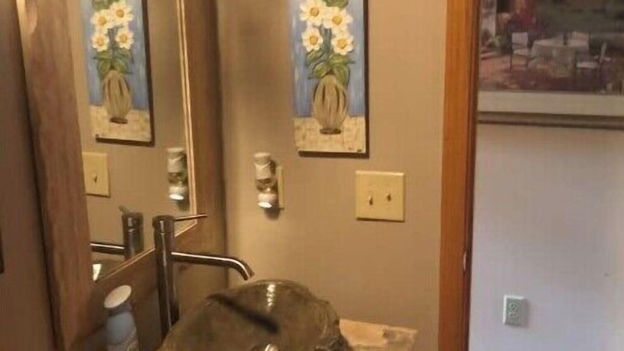 Photo of Bathroom in Counce