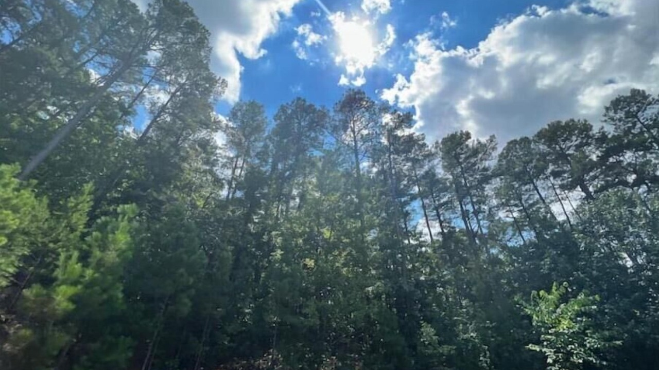 Photo of Outdoor in River Mountain
