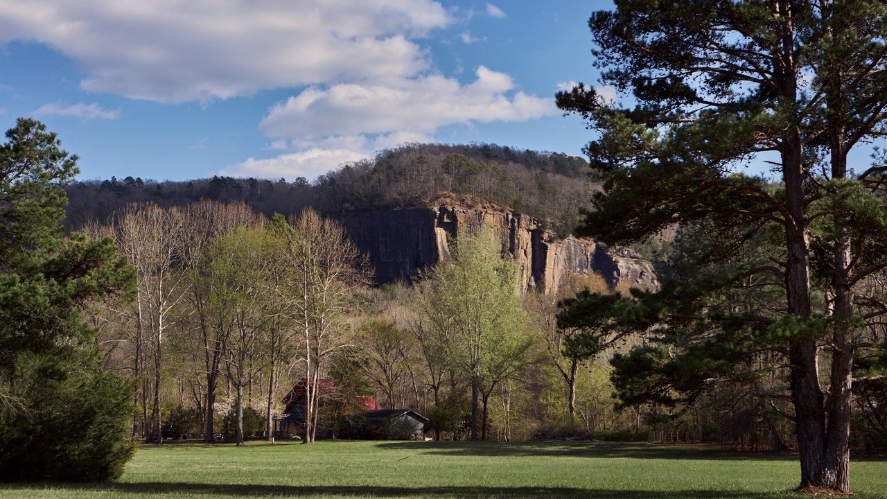 Photo of Others in Heber Springs