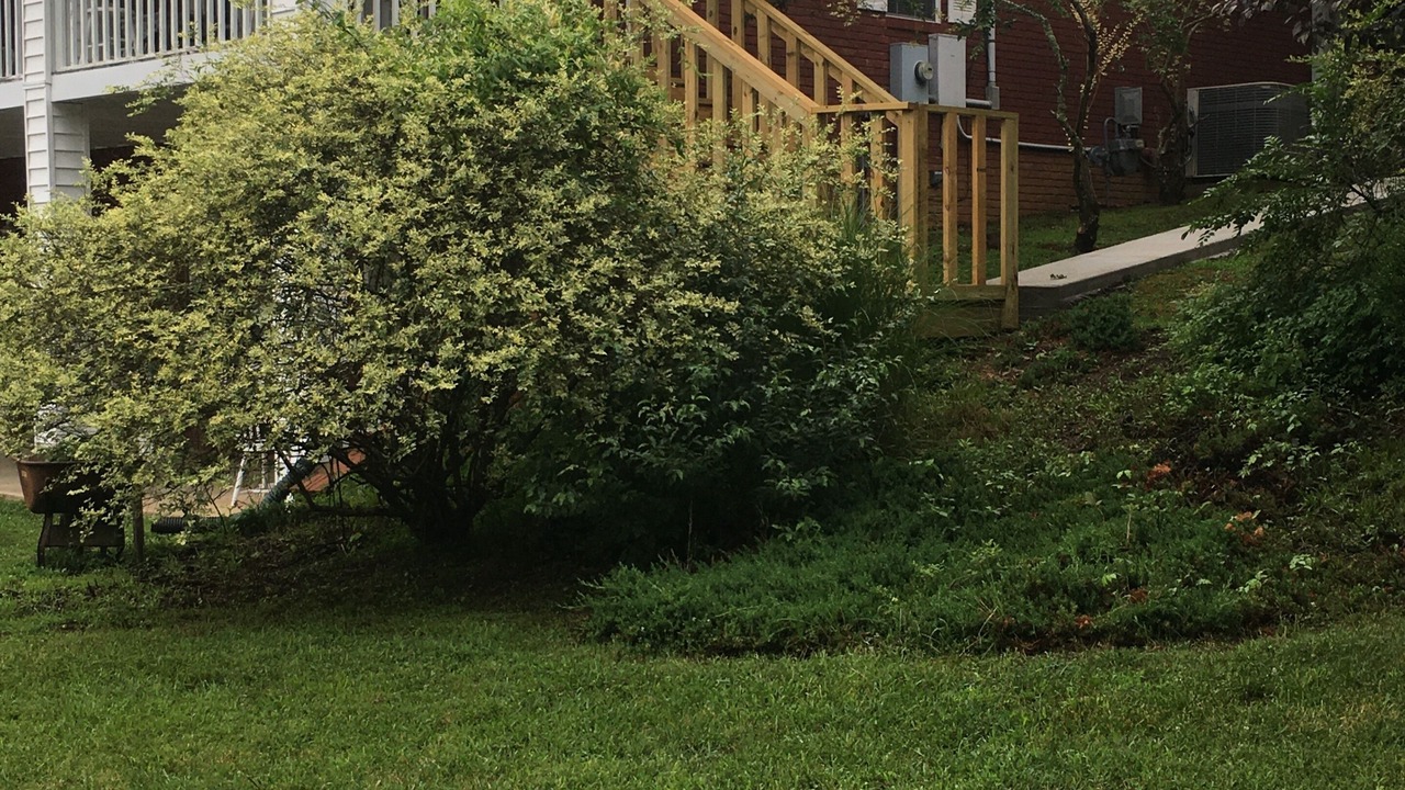 Photo of Outdoor in Camden