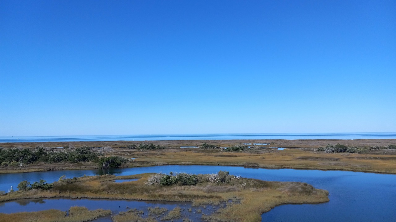 Photo of Others in Hatteras