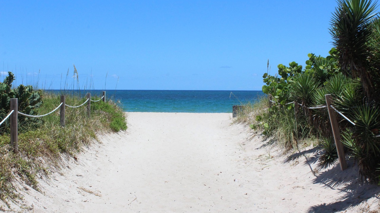 Photo of Others in Lauderdale Beach