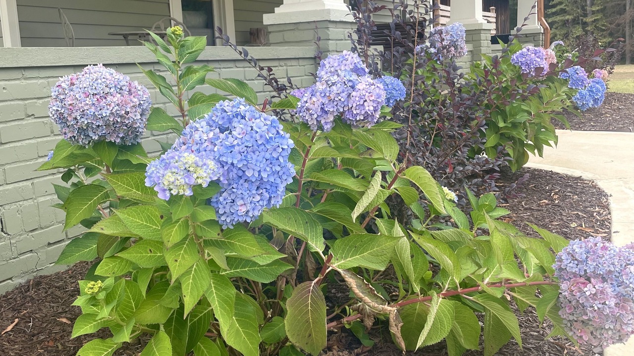 Photo of Outdoor in Corinth