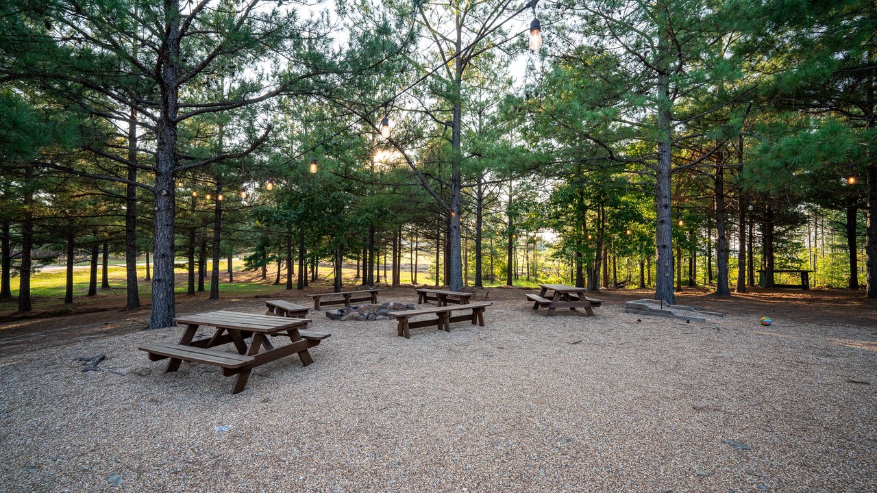 Photo of Outdoor in Amity