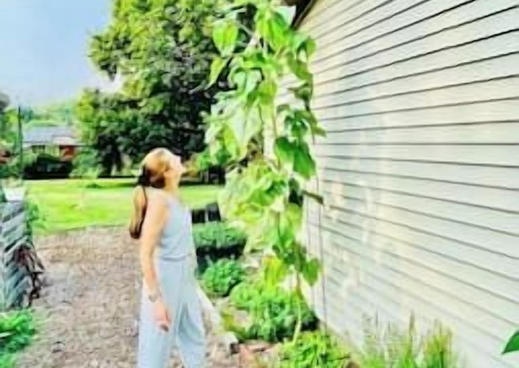 Photo of Outdoor in Burlington