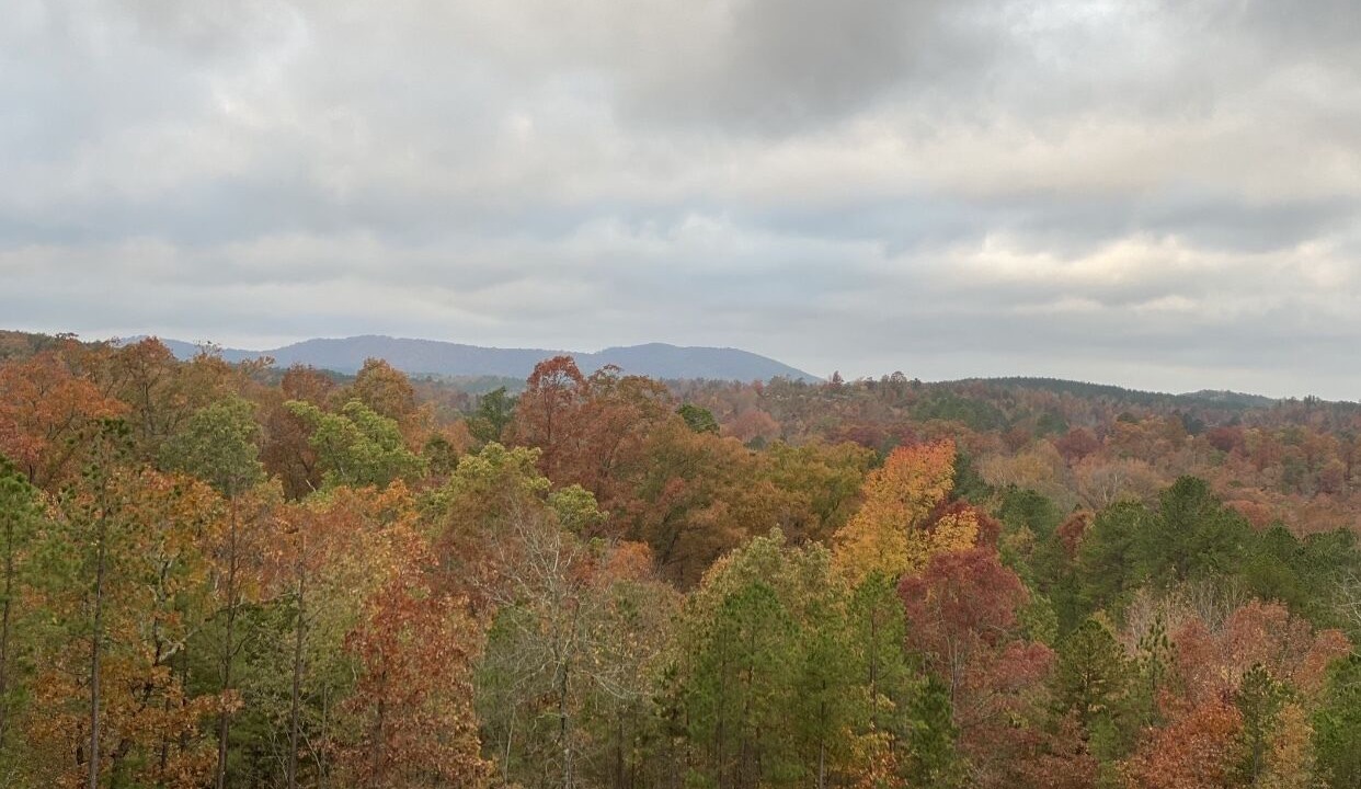 Photo of Outdoor in Hot Springs Village