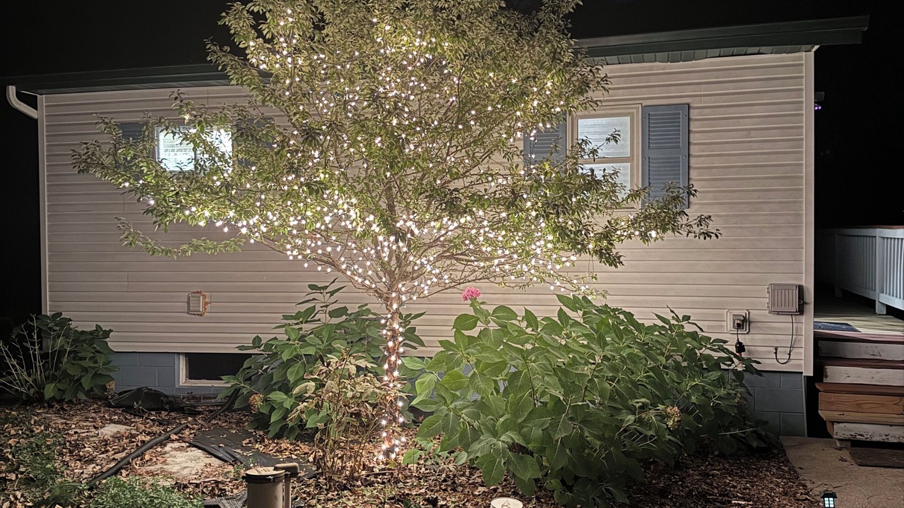 Photo of Outdoor in King