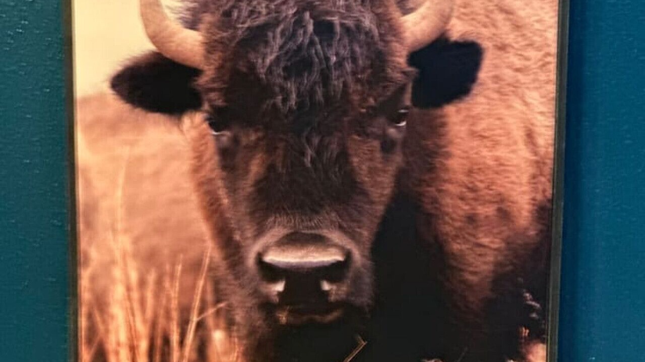 Photo of Others in Russell