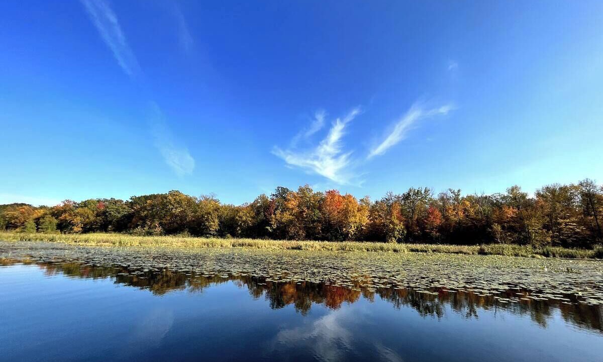 Photo of Others in New Auburn