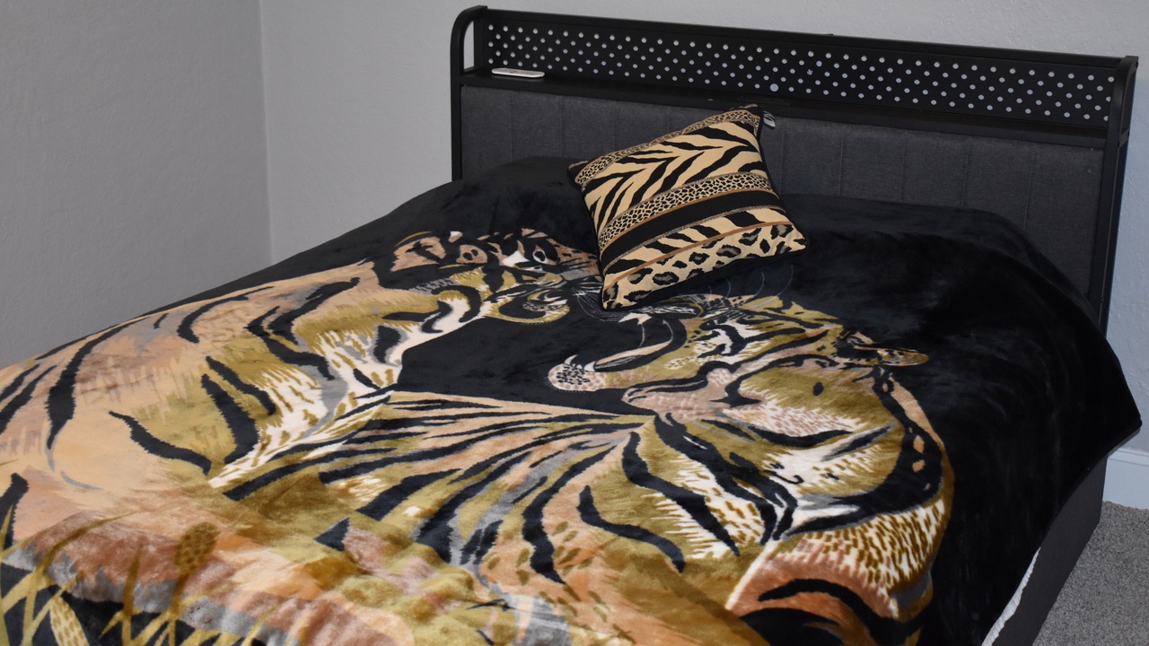 Photo of Bedroom in Lawton