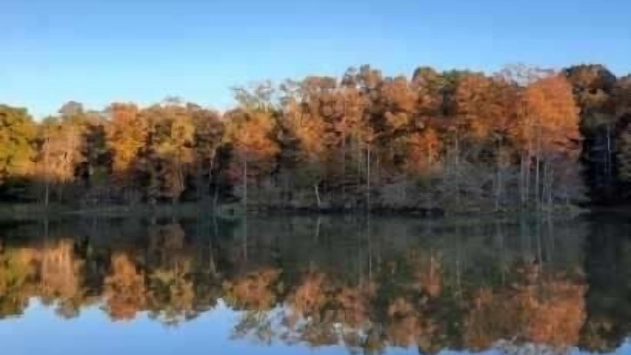 Photo of Others in Arkadelphia