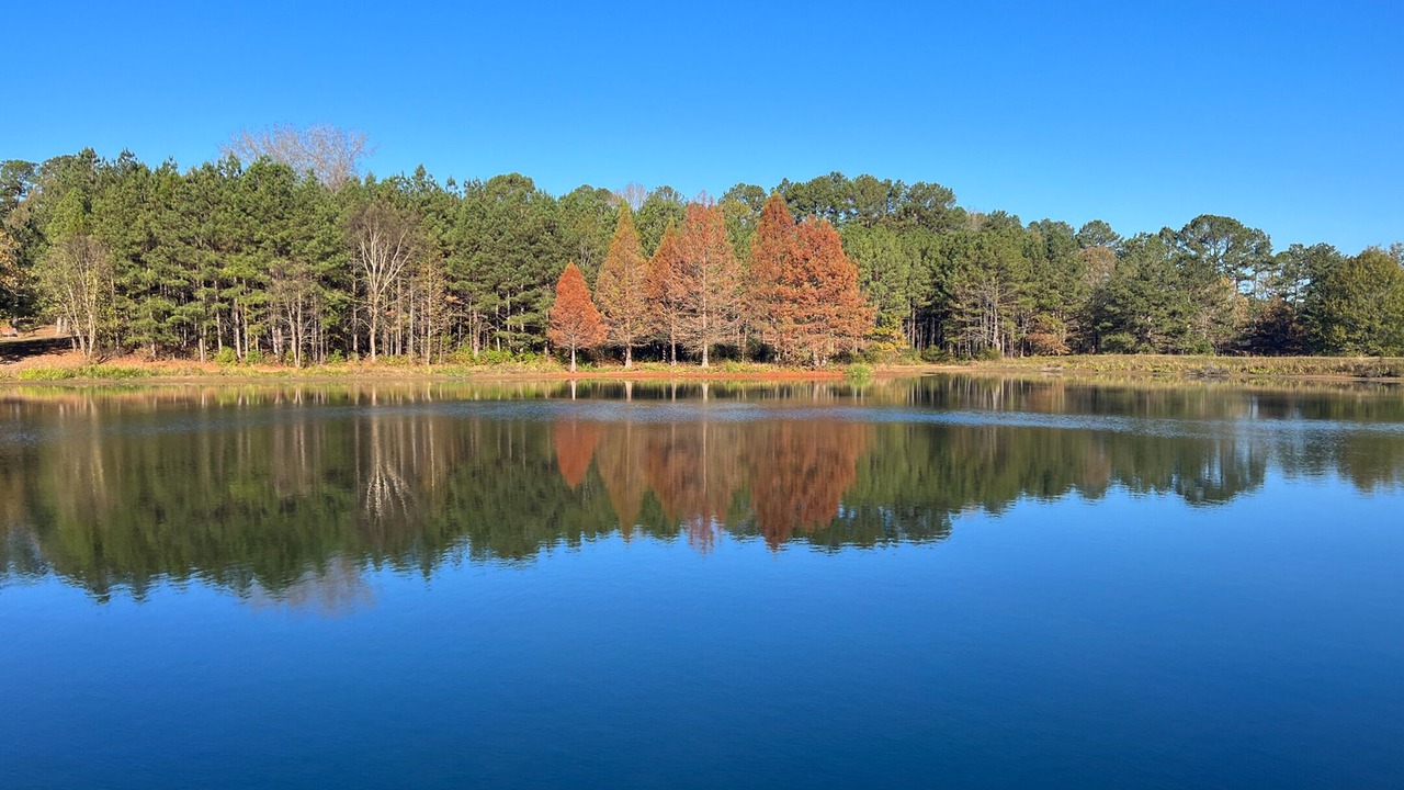 Photo of Others in Arkadelphia