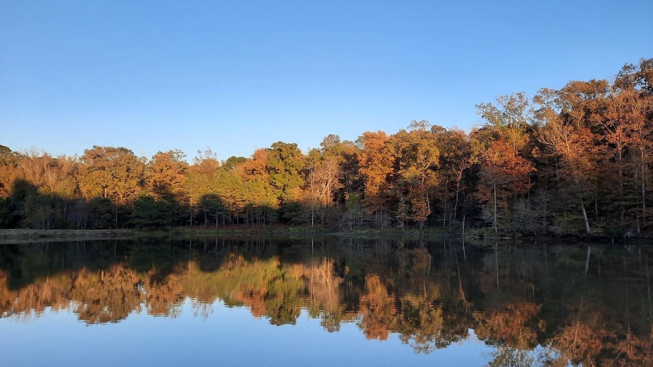 Photo of Others in Arkadelphia