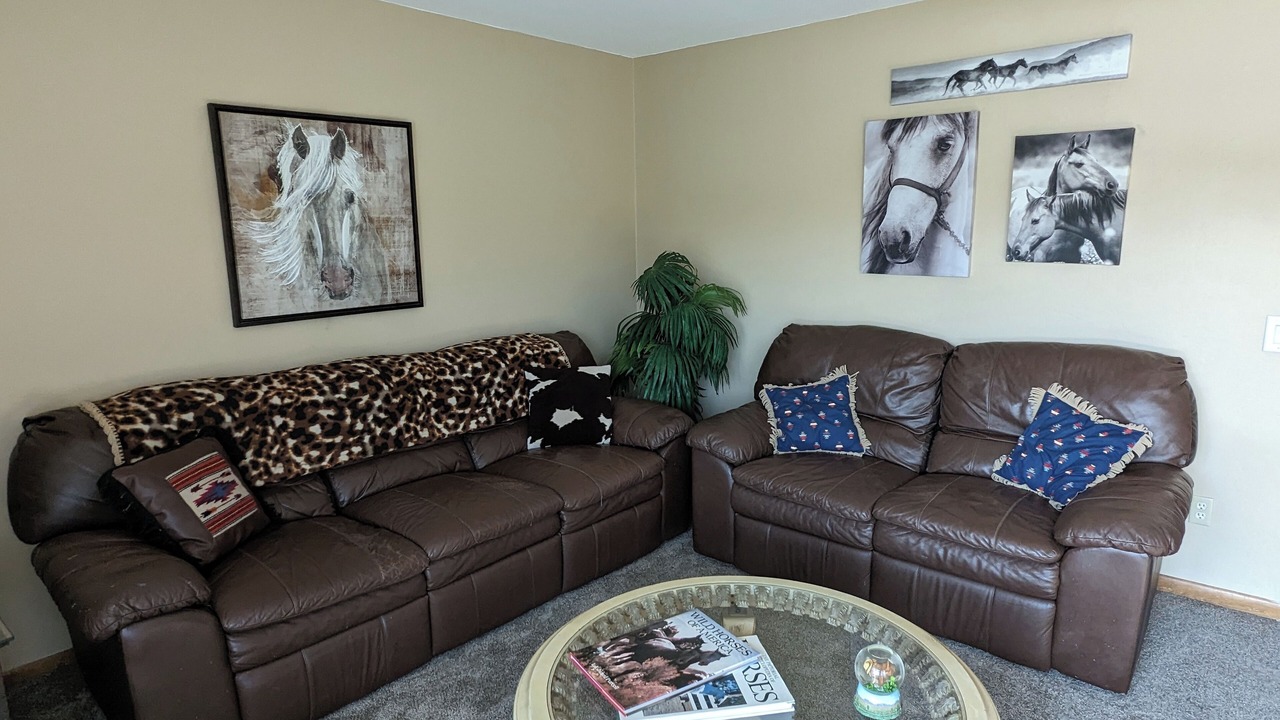 Photo of Livingroom in Eau Claire