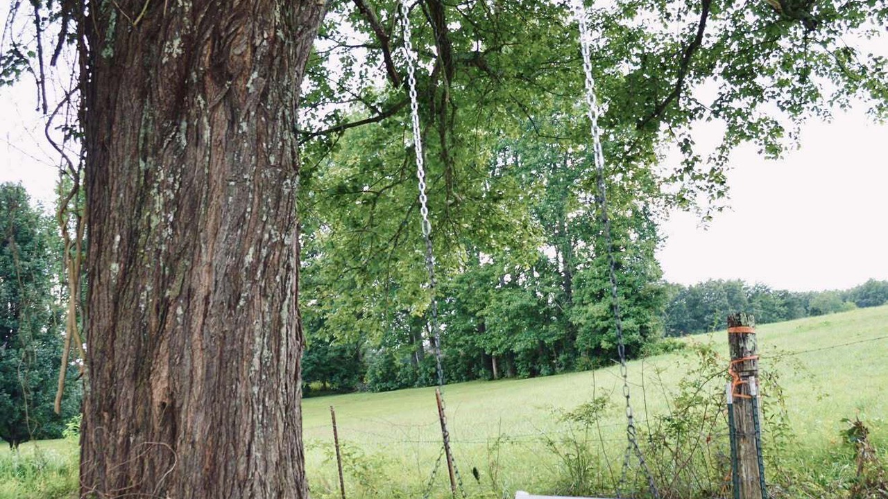 Photo of Outdoor in Sparta