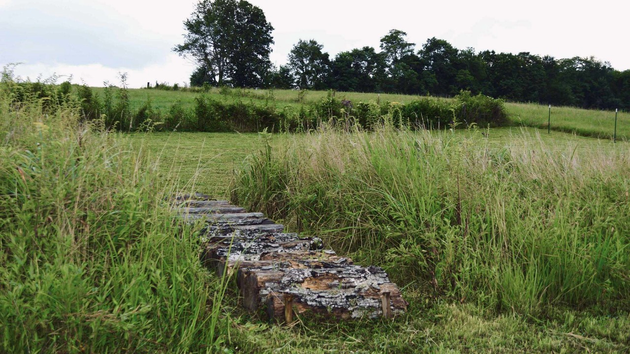 Photo of Outdoor in Sparta