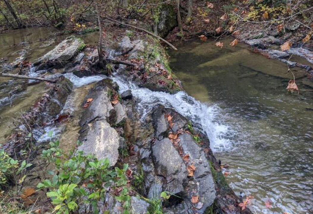 Photo of Others in Maryville