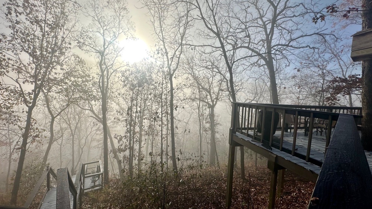 Photo of Outdoor in Sylvan Shores