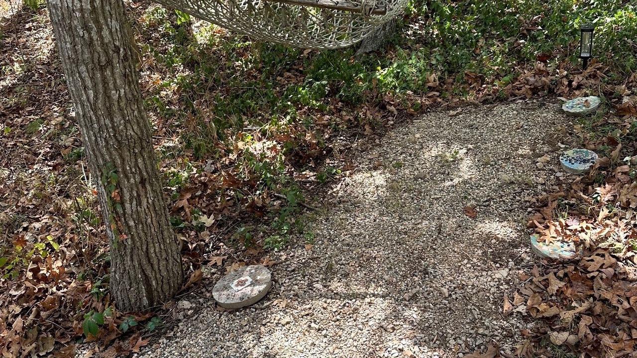 Photo of Outdoor in Sylvan Shores