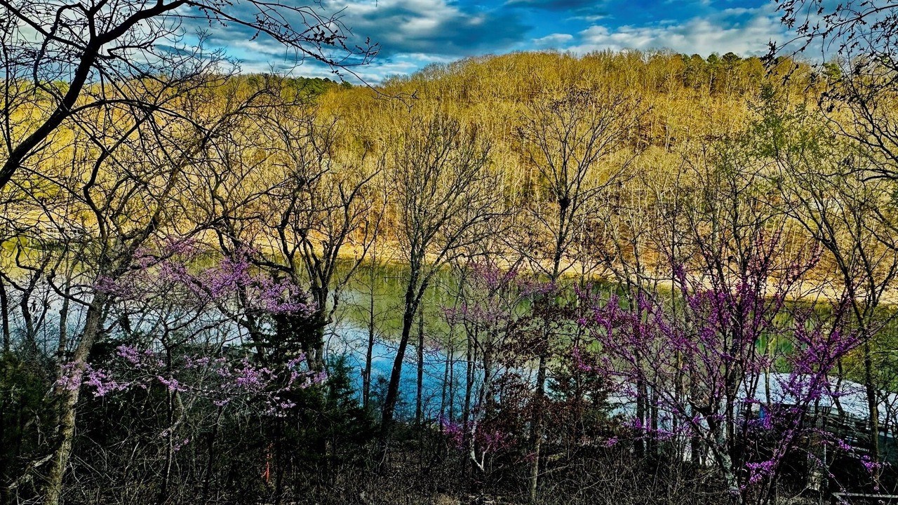 Photo of Outdoor in Sylvan Shores