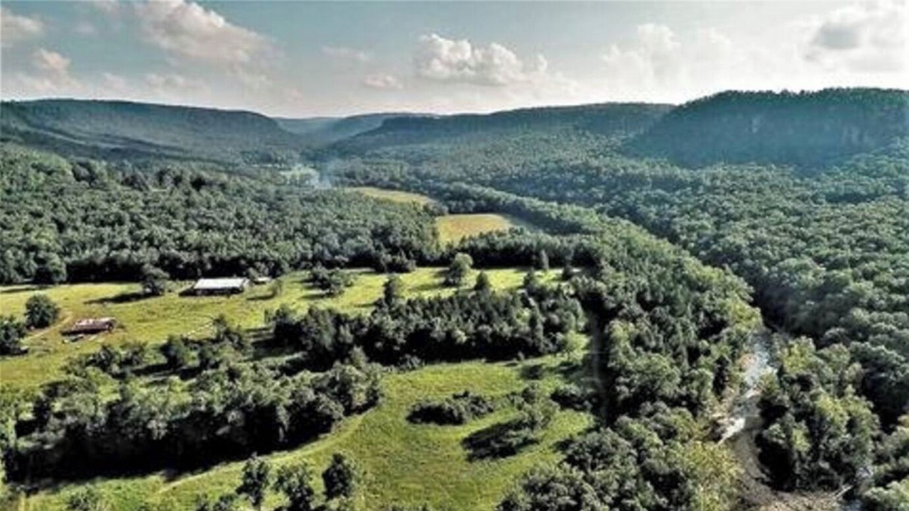 Photo of Outdoor in Fox