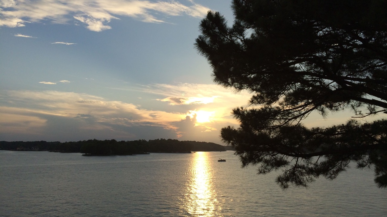 Photo of Others in Lake Hamilton