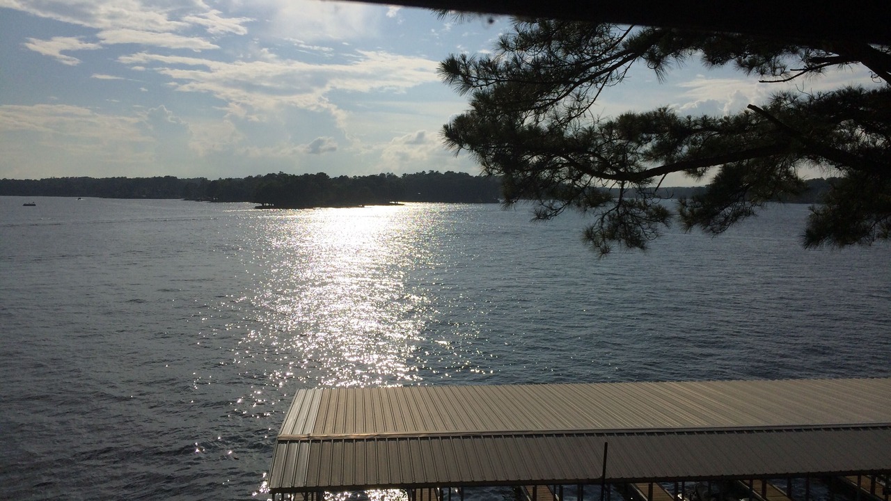 Photo of Others in Lake Hamilton
