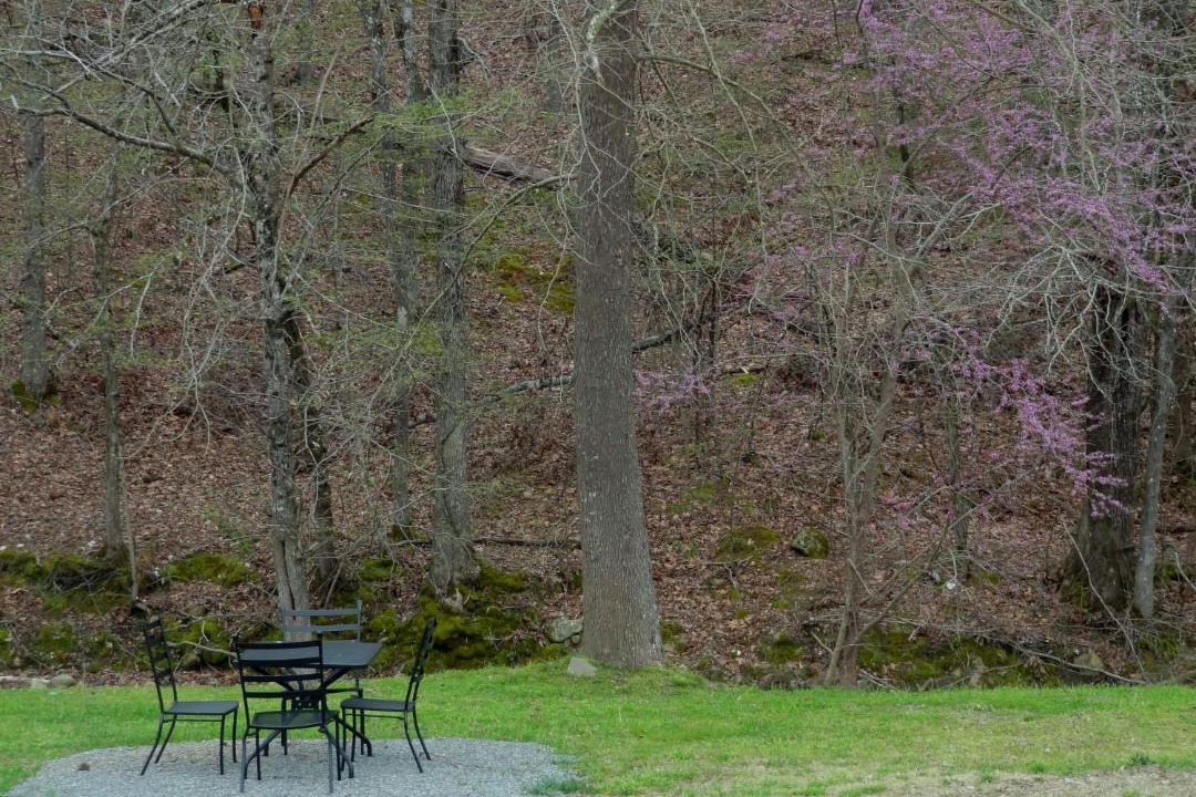 Photo of Others in Mount Ida