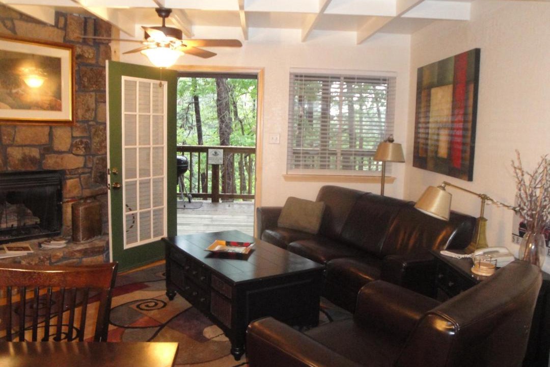 Photo of Livingroom in Mount Ida