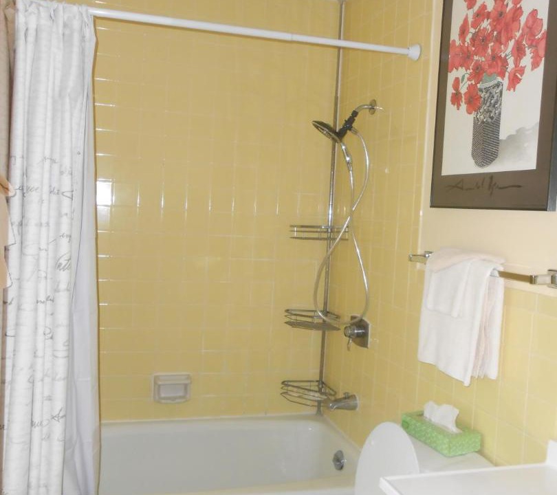 Photo of Bathroom in Hot Springs Village