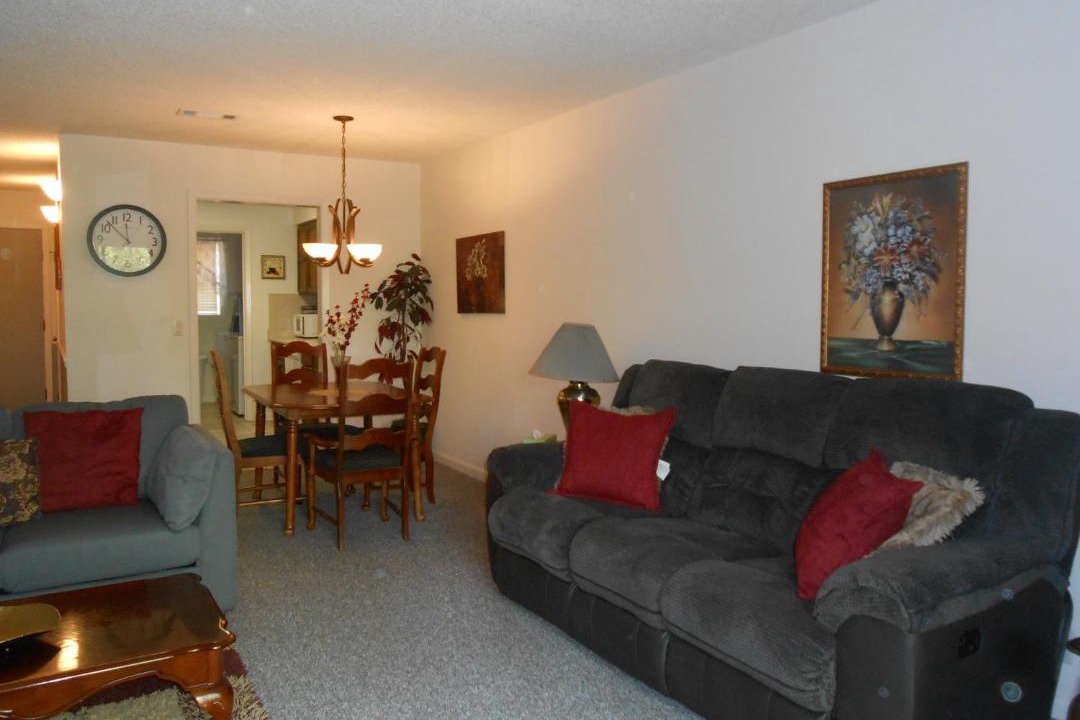 Photo of Livingroom in Hot Springs Village