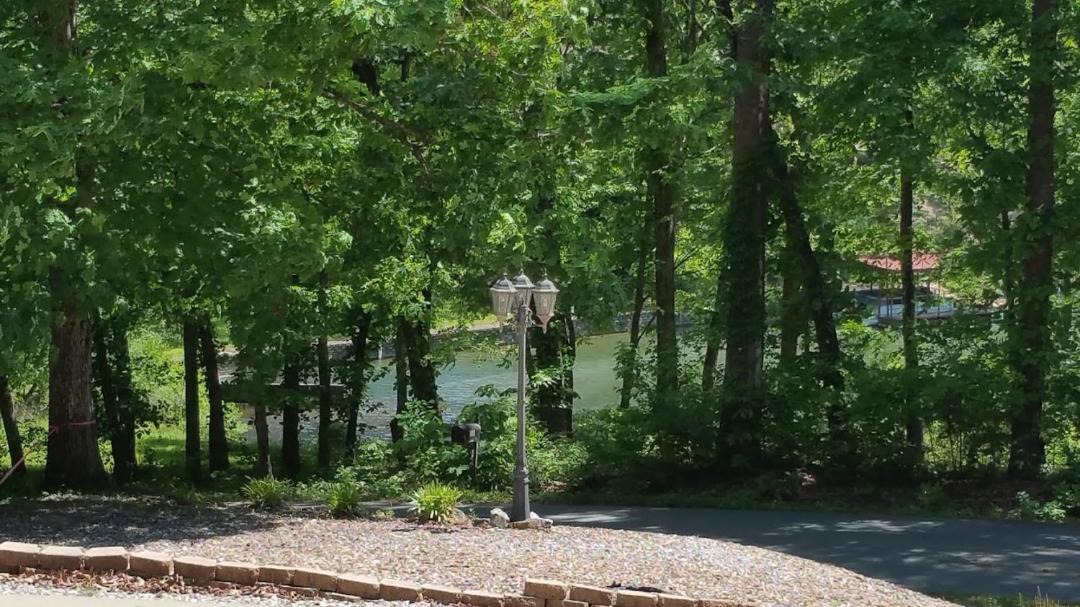 Photo of Others in Hot Springs Village