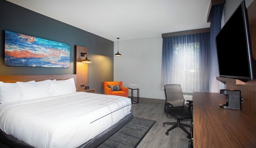 Single Room, 1 King Bed, Non Smoking (Mobility/Hearing Impaired)