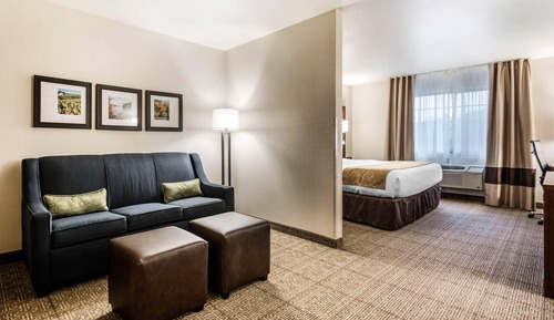 Suite, 1 King Bed, Accessible, Non Smoking